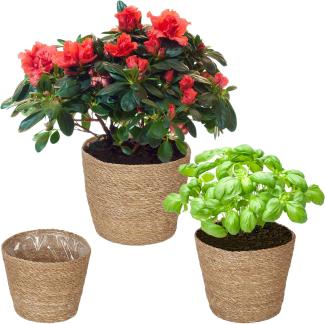 Seegras Blumentopf 3er Set 10048141