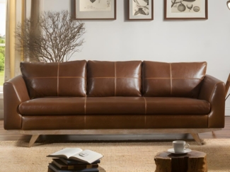 Vente-unique - Ledersofa Vintage 3-Sitzer - Braun - ALEGAN
