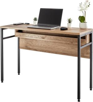 Iris Ohyama, Computerschreibtisch/Bürotisch/Multiaufbewahrungsmöbel, Kratzfest und schmutzabweisend,Verstellbare FüÃŸeBüro, Wohnzimmer, Arbeitszimmer - Desk with Cable Holder - CDS-1150 - Aschbraun