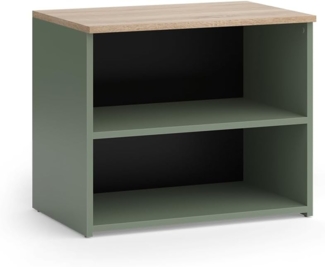 Lowboard Wido Grün 60 x 50 cm mit 2 Fächern Vicco