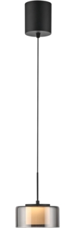 Paul Neuhaus LED Pendelleuchte RIKA, 1-flammig, Rauchfarben, Schwarz, Metall, Dimmfunktion, Memoryfunktion, LED fest integriert, Extra-Warmweiß, Lampenschirm aus Glas, Höhenverstellbar Ø 15 x H 180 cm