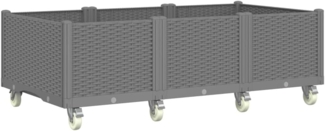 vidaXL Pflanzkasten mit Rollen Hellgrau 150x80x54 cm PP 367983