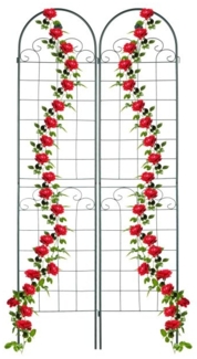 Rankgitter im 2er Set 220 cm 10041787