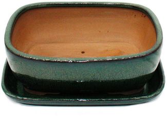 Exotenherz Pflanzschale Bonsai-Schale mit Unterteller Gr. 4 Grün rechteckig Modell GB5 L 26cm (1 St)