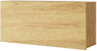 Hängeschrank Teen Flex 1D TF-12