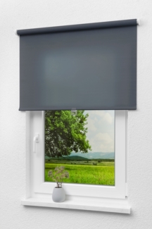 Lysel - Qualitätsspringrollo Tageslicht (B x H) 83x190 cm in dunkelgrau