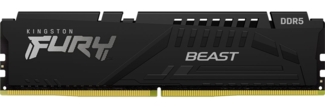 Kingston FURY Beast - DDR5 - Modul - 16 GB - DIMM 288-PIN / PC5-48000 - ungepuff