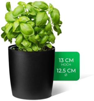 Novaliv Kräutertopf - (1 St), 1x Kräutertöpfe