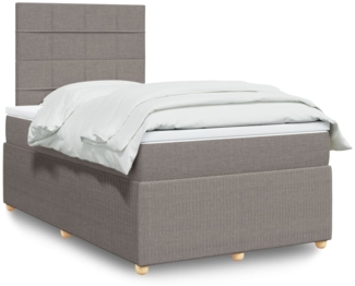 vidaXL Boxspringbett mit Matratze Taupe 120x190 cm Stoff 3294299