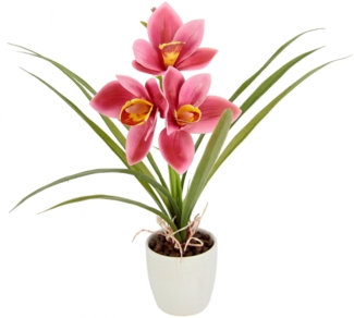 Kunstblume Orchidee, I.GE.A, Höhe 32 cm, Mit Blätter im Topf aus Keramik Künstliche Blume Cymbidium-Orchidee