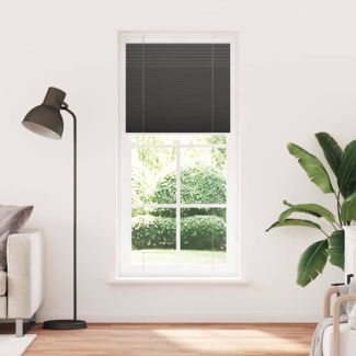 vidaXL Plissee Schwarz 100x200 cm Stoffbreite 99,4 cm Polyester 4015160