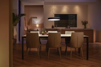 Philips Hue Enrave Pendelleuchte (Schwarz)