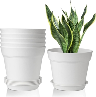 T4U 19cm Kunststoff Blumentopf 6er-Set Pflanzkübel Innen Balkon Sukkulenten