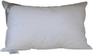 Canada Kopfkissen prall dick 50x75 cm Federkissen Kissen 30% Daunenanteil 750 g