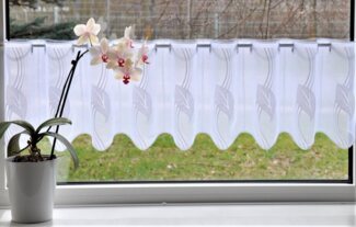 Stickereien Plauen Scheibengardine Blätter, Stangendurchzug (1 St), halbtransparent