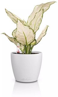 Lechuza Pflanzgefäß-Set Classico Color 12 Kunststoff weiß Ø 13,2 x 11,8 cm