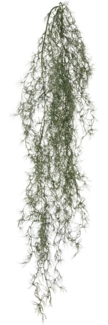 Kunstranke Tillandsia, Creativ green, Höhe 120 cm, mit filigranen Ranken