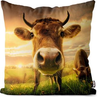 VOID Kissenbezug, (1 Stück), Kuh Weide Landschaft Natur Tiere Bauernhof Wald Wiese Bayern Kuhfell