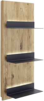 Wandregal VENEDIG (BHT 45x101x21 cm)