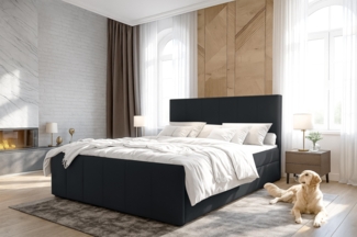 AX LIVING Levente Boxbett mit Bettkasten 80x200 Boxspringbett Braun