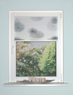 HOME WOHNIDEEN Plisseerollo RAWLINS, mit Hakenaufhängung, halbtransparent