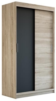Schwebetürenschrank PAX 2-türig Schrank 120 cm (mit Spiegel) Farbe: Sonoma , schwarz
