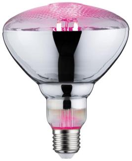 Paulmann 28737 LED Lampe Pflanzenlicht 6,5W Leuchtmittel Wachstumslicht Beleuchtung Glas Licht 1300 K E27