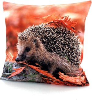 Weckbrodt Kissenhülle Igel, (1 Stück)