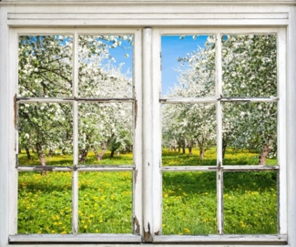 queence Wandsticker Wiese mit Bäumen, Wandsticker, Wandbild, selbstklebend, 3D, Fenster