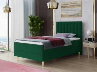 Boxspringbett Gold Mini mit Bettkasten, Bonell-Matratze und Topper - Einzelbett mit Matratzentopper, Polsterbett, Bett, Schlafzimmer, Jugendzimmer, Velours Stoff (Grün (Manila 35), 80 x 200 cm)
