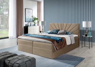 99rooms Lazzaro Boxspringbett Velours JASMINE Creme 160x200 cm