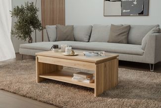 FORTE Couchtisch Couchtisch, Ablage, Stauraum, als Esstisch nutzbar, höhenverstellbar, B/H/T 100/45,7/56 cm