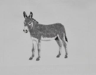 Vista Portuguese Geschirrtuch weiß Esel