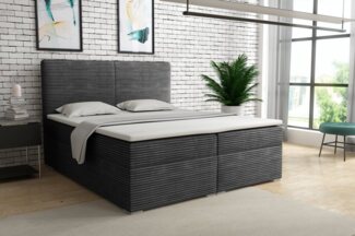 Deine Möbel 24 Boxspringbett LOFT III Boxspring Komplettbett Polsterbett Bonellfederkernmatratzen (Schwarz Graphit, Boxbett Cord Cord-Samt 120x200 140x200 160x200 180x200 200x200), inkl. Bettkasten Topper Matratzen H3 H4 Beige Creme Grau