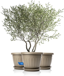 BigDean 3x Blumentopf mit Untersetzer rund ø50xH38 cm Mokka/braun - wetterfester Pflanzkübel - Wasserablauf UV-beständig aus bruchsicherem Kunststoff - Innen + Außen geeignet - Made in Europe