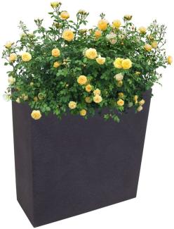 Pflanzkasten anthrazit Blumenkasten Hochbeet Terrasse Sichtschutz 59,5x26,5cm