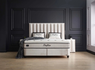 abc bedding Boxspringbett DAYTONA Voll-orthopädisches Komfortbett mit Samt in Silber Beige (inkl. Matratze & Topper), Funktionsbett mit Bettkasten