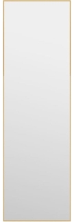 vidaXL Türspiegel Golden 30x100 cm Glas und Aluminium 327414