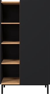 Regal Siapen (Farbe: Schwarz + Gold Baroque)