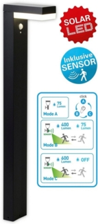 näve LED Solarleuchte Filius, Bewegungsmelder, LED fest integriert, Warmweiß, incl. Bewegungsmelder 90°, max. 8m, 3 Funktions-Modi wählbar, h: 50cm