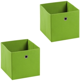 IDIMEX Aufbewahrungsbox ELA (Set), Aufbewahrungsboxen im 2er Set, Regalboxen mit Griff 27x27cm grün