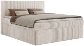 MKS MÖBEL Boxspringbett TILIANO (Packung, Set, Gepolstertes Kopfteil, Visco-Topper, Polsterbett, T30-Schaum), Doppelbett, Multipocket-Matratzen, Zwei Bettkästen, Cord Bett