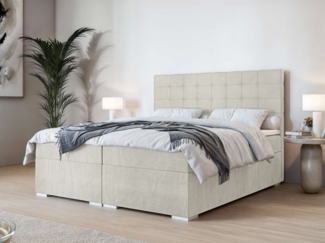 INOSIGN Polsterbett Semla mit Matratze und Topper, in 3 Breiten (140, 160 und 180 cm), Boxspringbett mit Kopfteil, Bettkasten, Matratze (BFK/TFK) und Topper