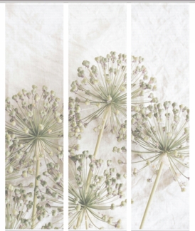 HOME in green Cintia 3Er Set 245 X 60 cm 3x Schiebevorhang inkl. Paneelwagen und Klemmleiste Natur