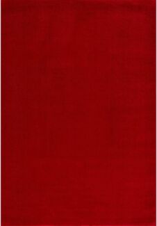 SANAT Kurzflor Teppich Wohnzimmer - Uni Modern Teppiche fürs Schlafzimmer, Arbeitszimmer, Büro, Flur, Kinderzimmer und Küche - Rot, 140x200 cm