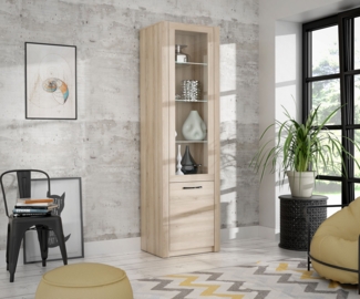 Vitrine Glasvitrine Vitrinenschrank 57cm Zwetschge Comano Modern