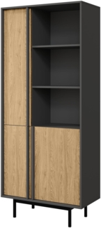 Regal Agova 3D AL02 (Farbe: Anthrazit / Geölte Eiche)