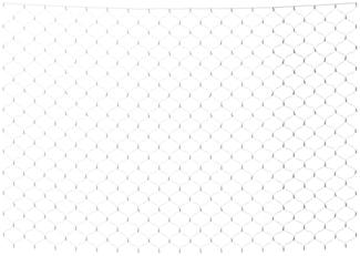 vidaXL Weihnachts-Lichternetz 4x4 m 544 LED Kaltweiß Indoor Outdoor 328783