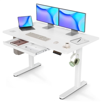 Höhenverstellbarer Schreibtisch 120x60 cm Elektrisch Standing Desk