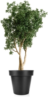 BigDean Blumentopf XXL ø60 cm Classic anthrazit - mit 360 Grad Rollen wiederverschließbarer Wasserablauf - wetterfest bruchsicherer Kunststoff - Pflanzkübel groß Außen & Innen geeignet